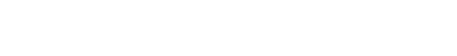 Novaturient